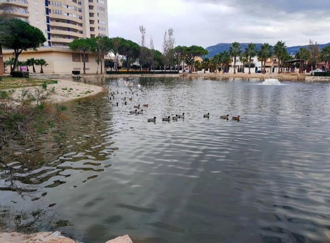 Arena Y Mar Apartman Tavernes de la Valldigna Kültér fotó