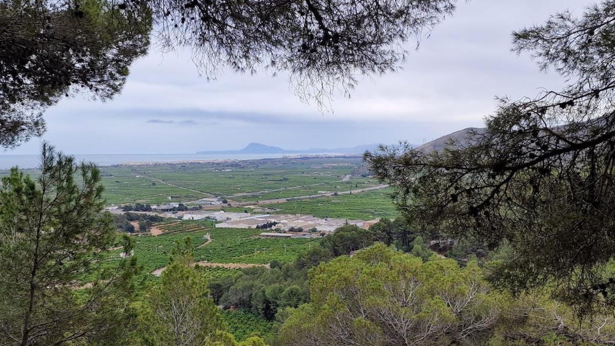Arena Y Mar Apartman Tavernes de la Valldigna Kültér fotó